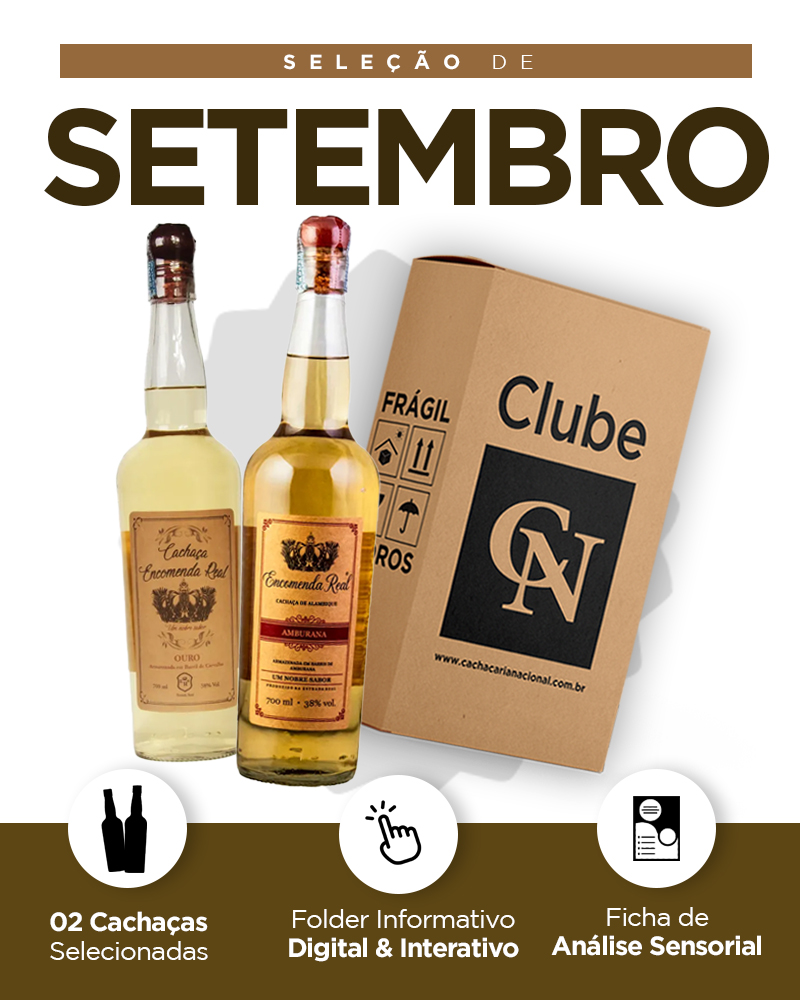 Kit detalhado - Mobile - SETEMBRO